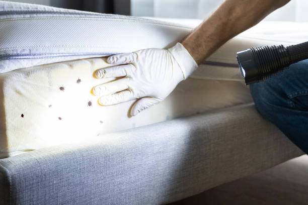 Best Commercial Pest Control Services  in Ladera, CA
