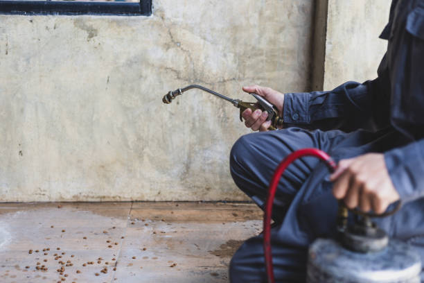 Best Termite Control Services  in Ladera, CA